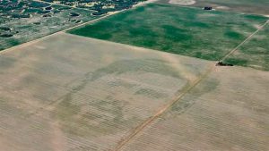 El campo le hizo un tributo a Lionel Messi