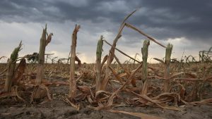 Ola de calor y sequias: “Estamos transitando una situación muy compleja”