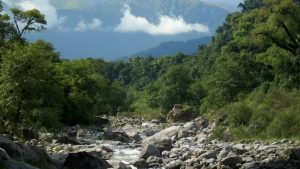 Un verano diferente y rodeado de verde en el sur de Tucumán