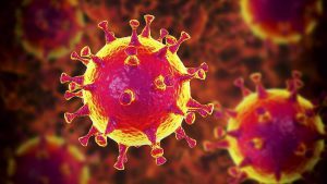 Coronavirus en Mar del Plata: Reportan 112 casos activos