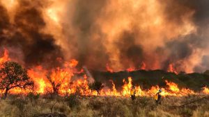 Arde Córdoba: bomberos combaten tres focos de incendios forestales