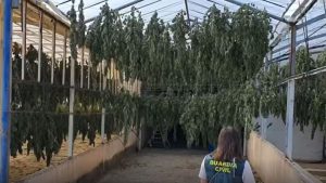 España: incautaron el mayor alijo de marihuana de la historia