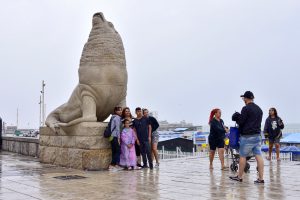 Defensa Civil recibió 70 reclamos en relación a la tormenta de Mar del Plata: no se registraron evacuados