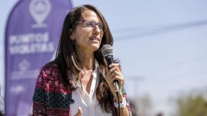 Elizabeth Gómez Alcorta: “Pichetto es un discriminador serial”