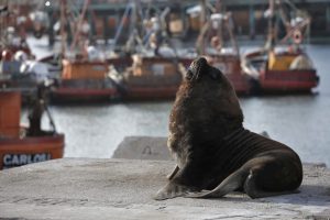 Octubre arranca con un fin de semana largo: Los turistas invaden Mar del Plata