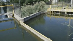 Mendoza: tres jóvenes fueron hallados muertos luego de tirarse a un canal de riego para refrescarse