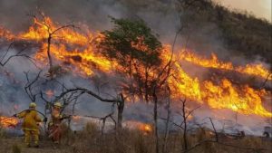 Alerta en Mar del Plata debido a posibles incendios forestales