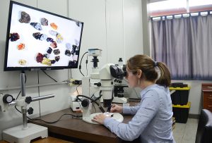 Hoy se conmemora el Día Internacional de la Mujer y la Niña en la Ciencia