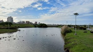 Mar del Plata: se inaugura el Parque Ambiental Punta Mogotes con un “Festival Ambiental”