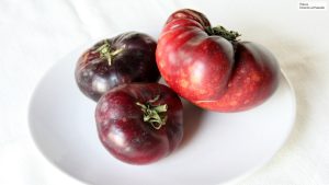 EE.UU: autorizaron la venta de tomates genéticamente modificados