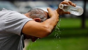 ¿Cómo afectará el cambio climático en el calor del verano 2024?