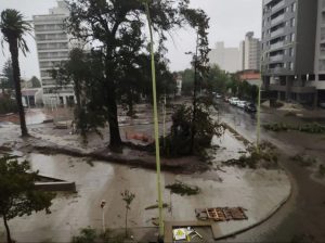 Temporal en Bahía Blanca: el mensaje de Lautaro Martínez y la angustia en redes sociales