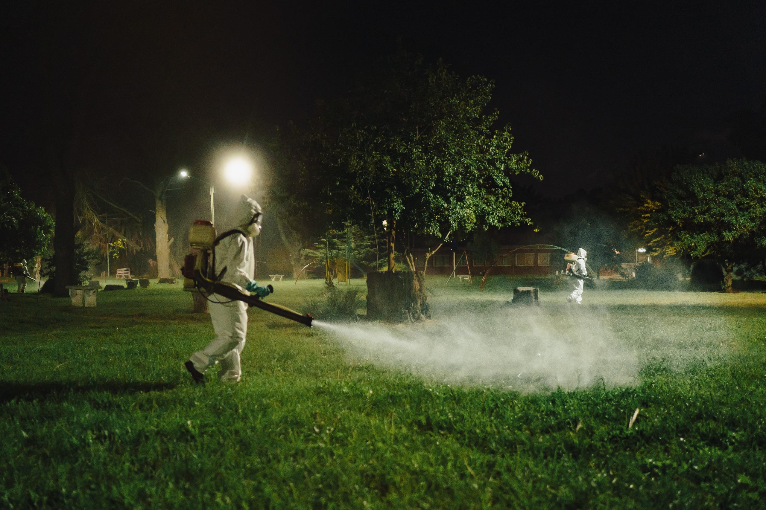 Se detectó el primer caso autóctono de dengue en General Pueyrredon 