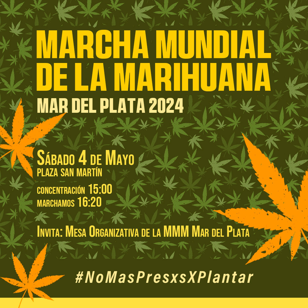 Marcha mundial de la marihuana sociedad cannábica