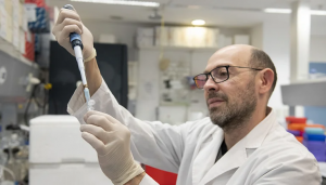 2024: Conicet descubre mecanismos clave en respuesta al estrés