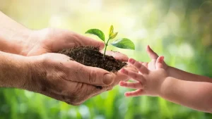 DÍA DEL MEDIO AMBIENTE: ¿por qué se celebra hoy?