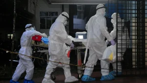 Alerta mundial por un virus en India: Qué es Nipah y cual es su potencial pandémico