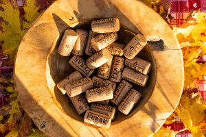 Chachingo Wine Fair llega a Mar del Plata este 11 y 12 de Octubre: una fiesta para los amantes del vino