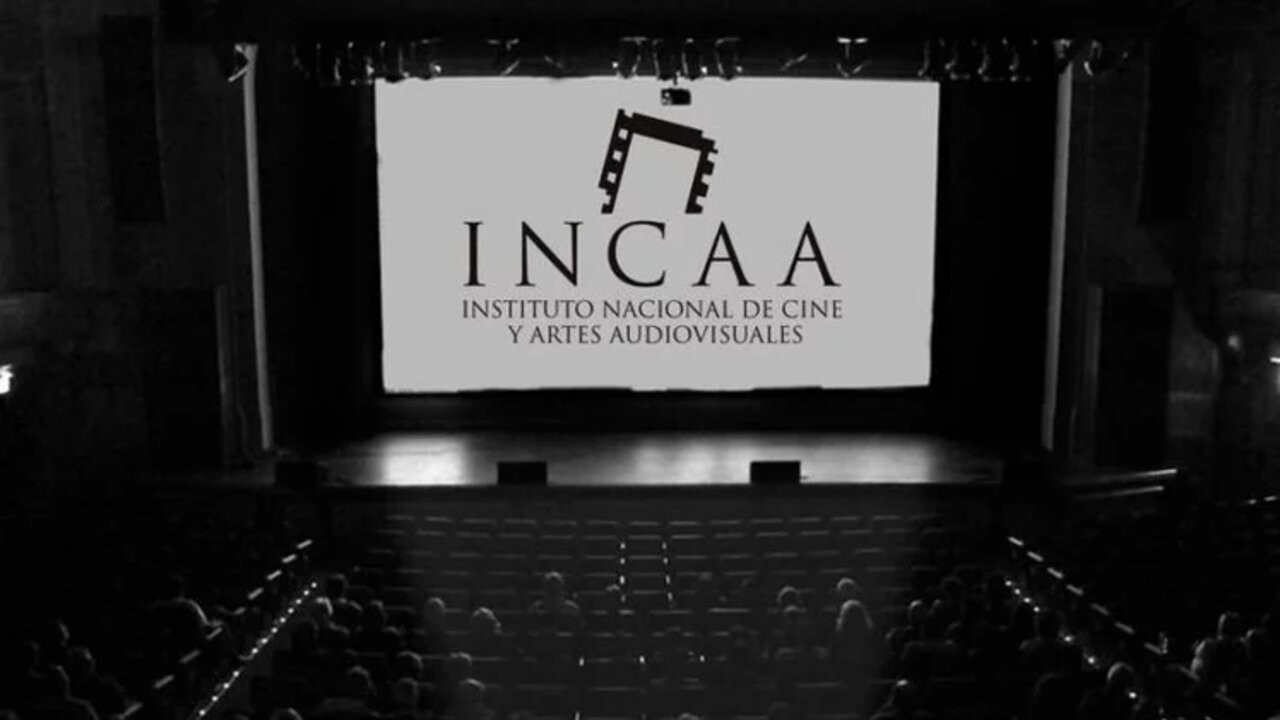 Mar del Plata inaugura la primera escuela de cine 1 1650742667078.jpg