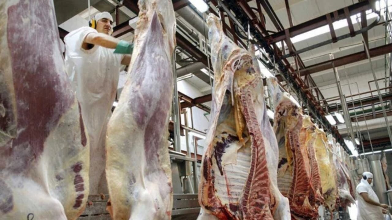 Los exportadores piden que se evalúe un posible “dólar carne” 1 520911_landscape.jpg