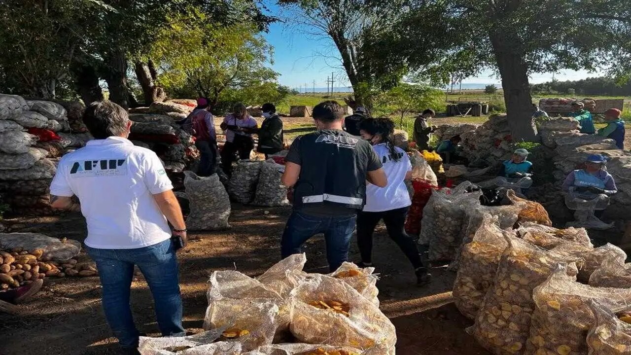Detectaron 920 casos de explotación laboral en dos años 1 6341679ab917f113851834.jpg