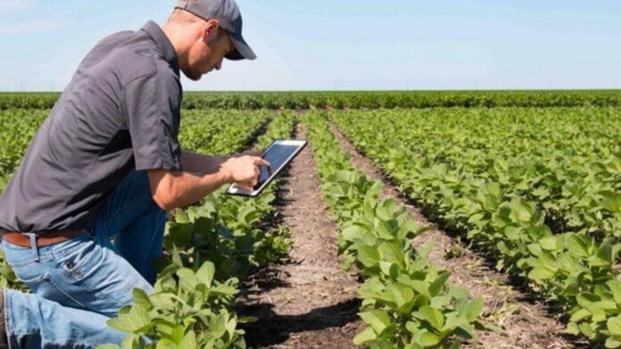 Una nueva tecnología revoluciona la producción agrícola 2 AgTech-Hary-Henderson-CREA_1.jpg