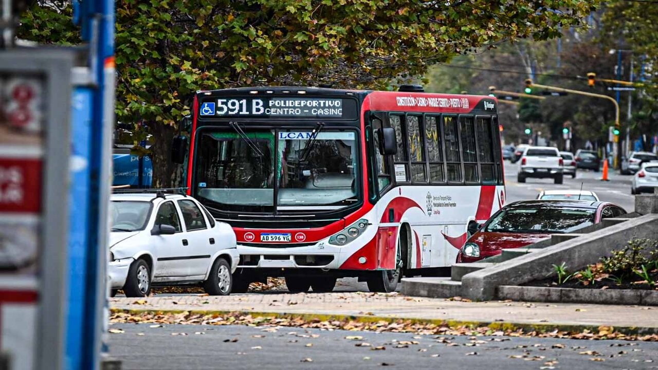 Mar del Plata: habrá colectivos el domingo a la tarde 1 CENSO-227_1.jpg