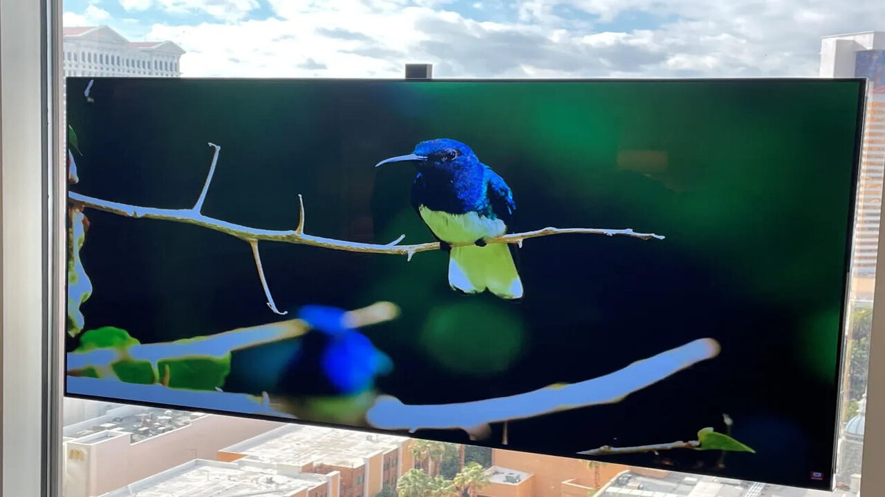 CES 2023: estos fueron los productos más curiosos de la presentación 1 Displace-wireless-OLED-TV_1.jpg