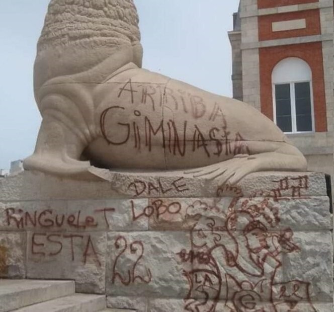 Uno de los lobos marinos de Mar del Plata amaneció con un collar de cáñamo 2 EJG-dBVWwAM339a.jpg
