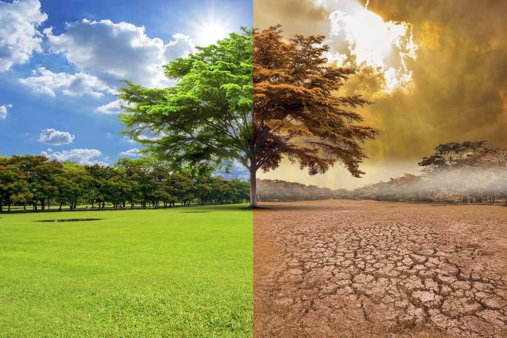 Austria: el grupo "última generación" inicia una quincena de protestas contra el cambio climático 1 El-cambio-climatico-un-desafio-mundial-que-requiere-de-soluciones-locales-urgentes.jpg
