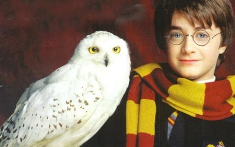 Dia Nacional del Animal: Las mascotas del cine 5 Harry-Potter-Hedvika-460x287.jpg