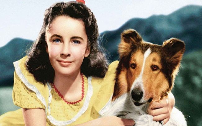 Dia Nacional del Animal: Las mascotas del cine 1 Lassie-Come-Home.jpg