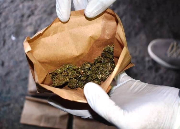 Dos jóvenes fueron detenidos por vender cocaína y marihuana en Mar del Plata 2 MARIHUANA_copy.jpg