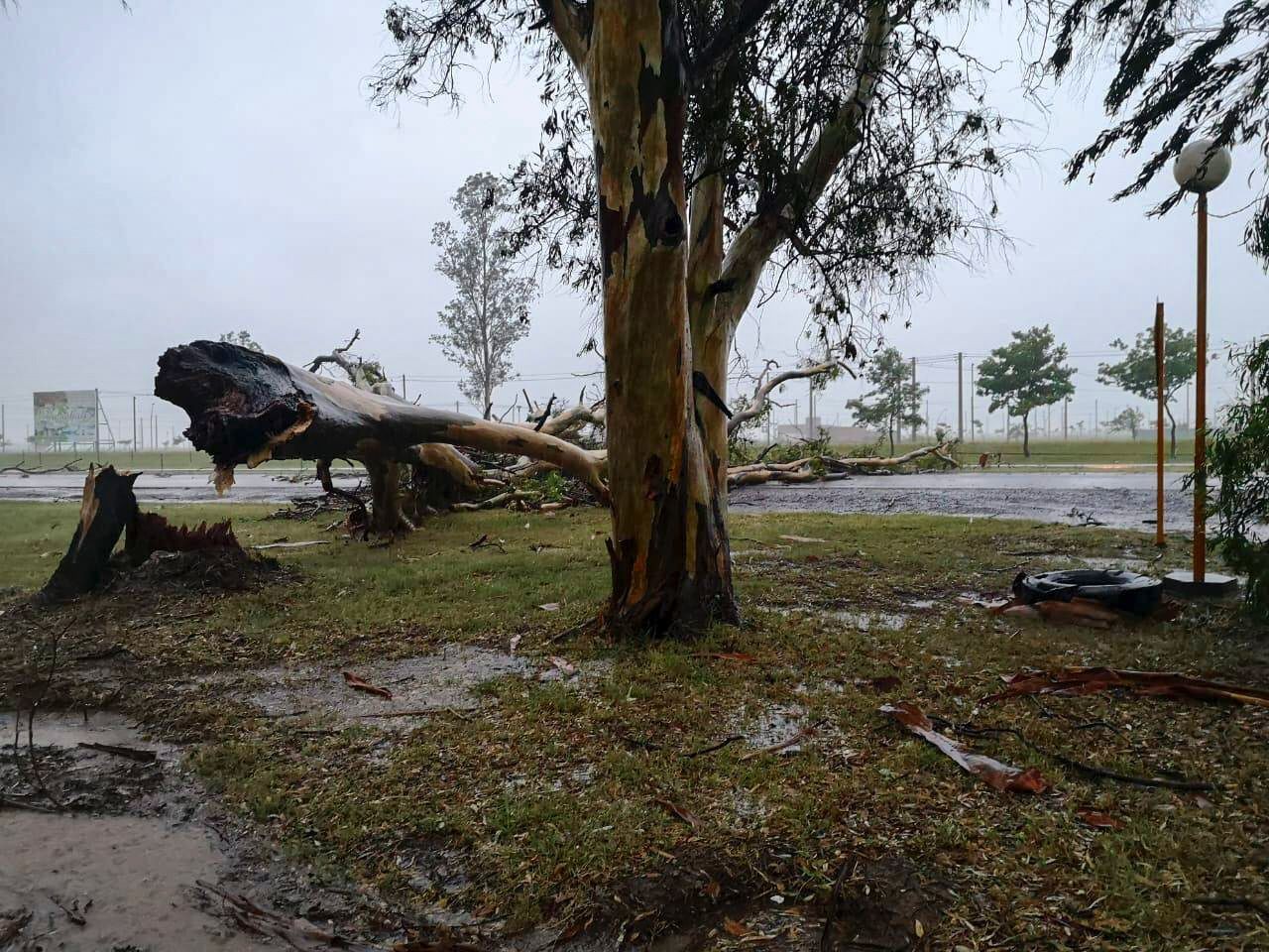 MAR_DEL_PLATA_TEMPORAL.jpg