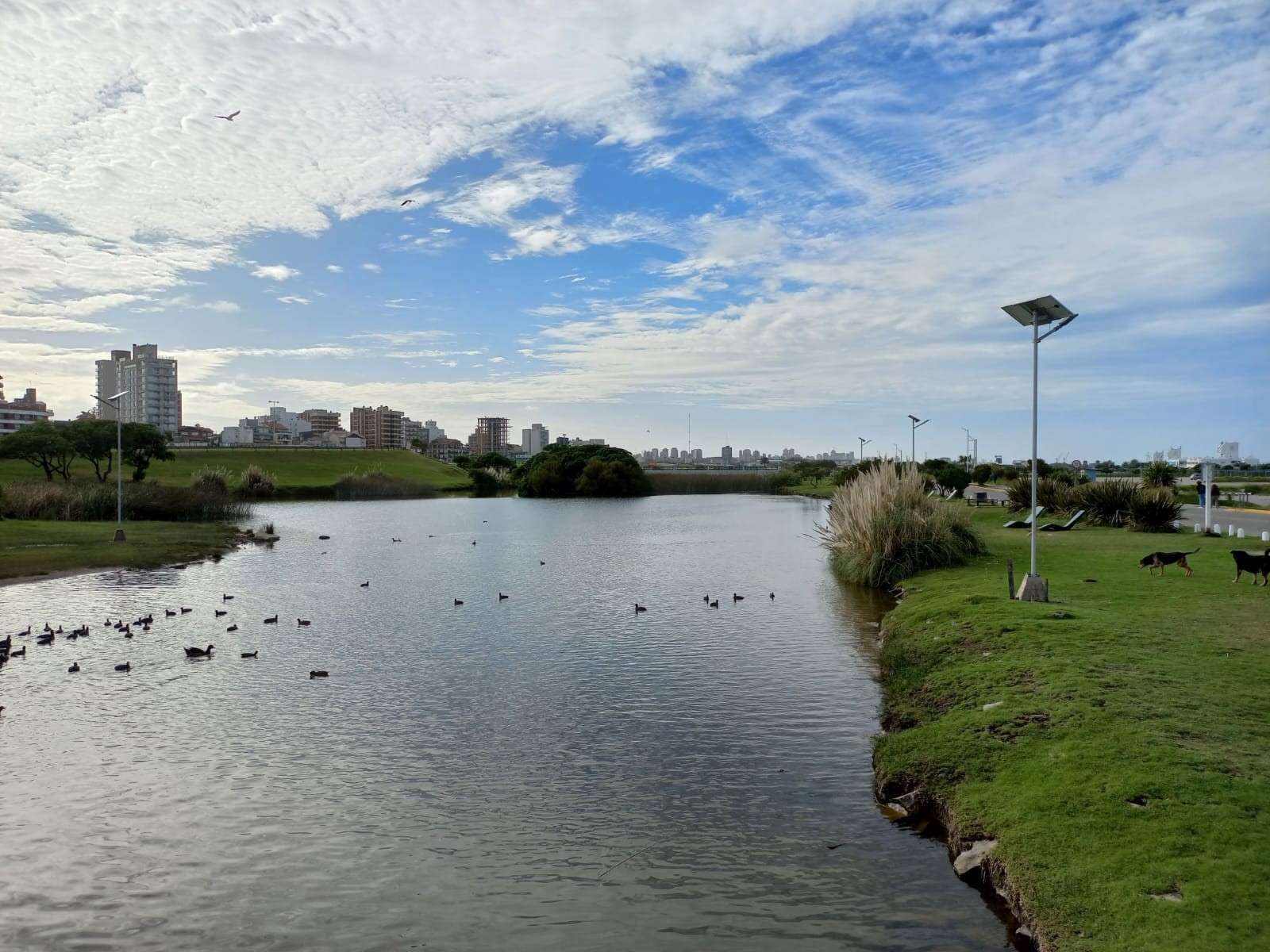 Parque_Ambiental.jpg