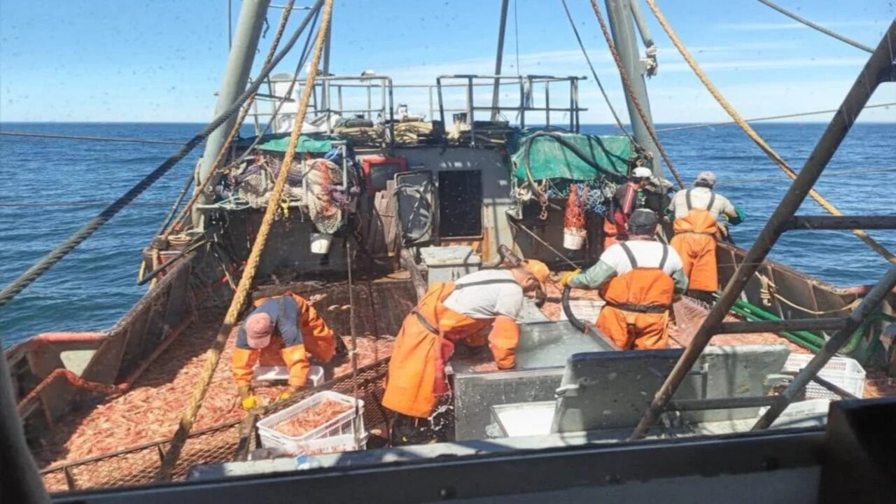Capitanes de pesca piden reunirse con Raquel "Kelly" Olmos 1 Pesca-1024x683.jpg