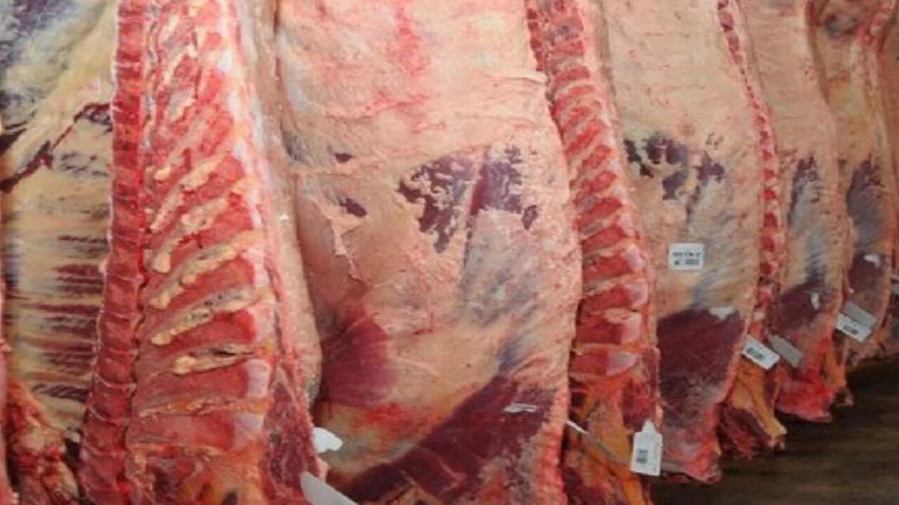 Los ruralistas y el gobierno analizaron las medidas sobre la carne 2 QBFUQZ647RB3LPLAKSJ3R4SCDM.jpg