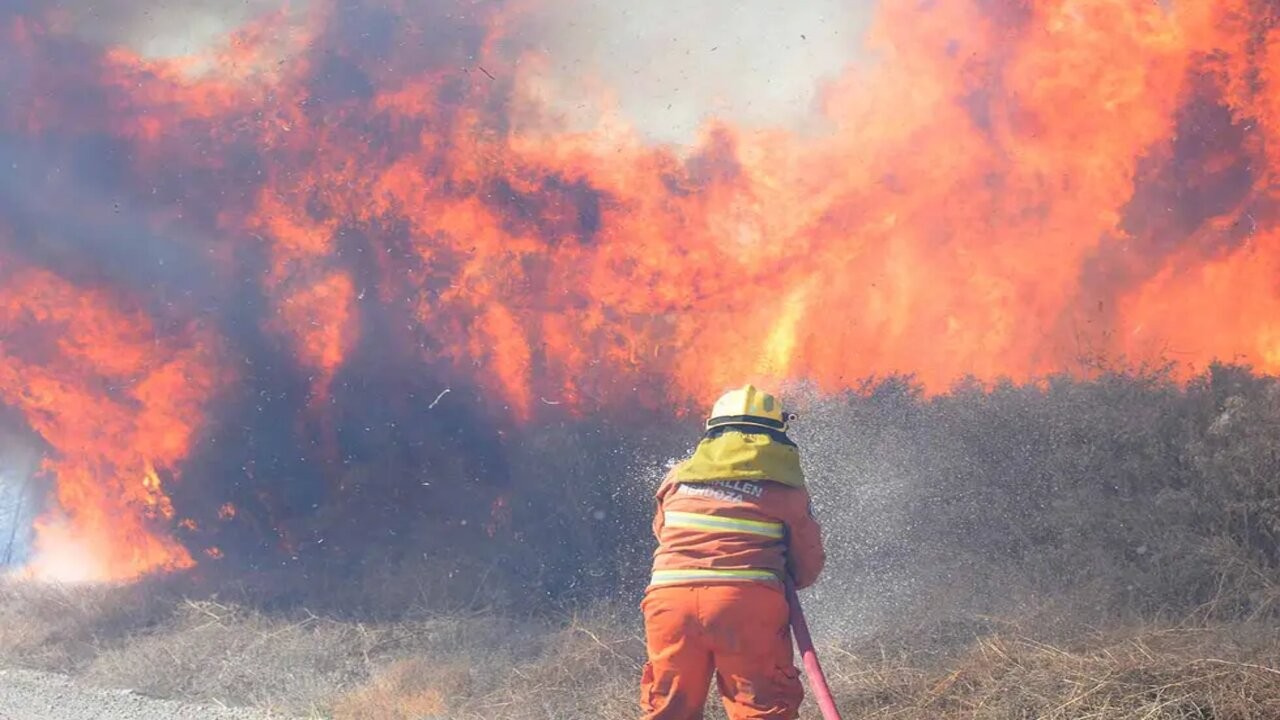 Alerta en Mar del Plata debido a posibles incendios forestales 1 T5TZU6XBFVEU7LSYSBXHHCBPFU.jpg
