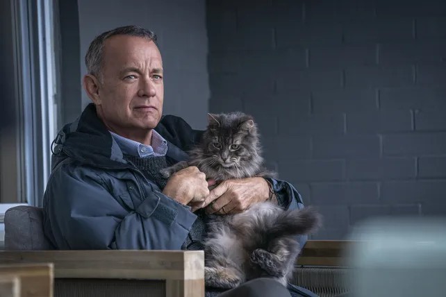 Verano Gurú: Tom Hanks vuelve a los cines de Mar del Plata 1 Tom_Hanks.jpg