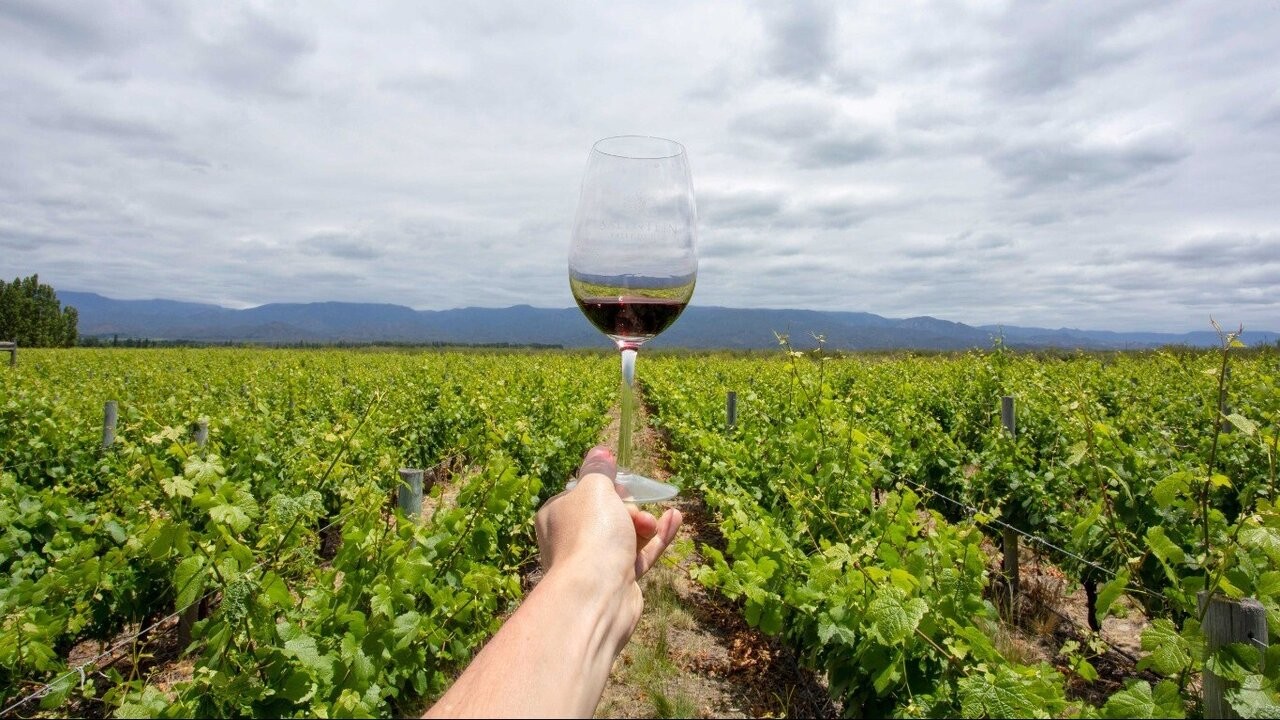 Mendoza: financiarán con $500 millones a la vitivinicultura 1 XG7VGVBRNRGYJN7ROK5ZHXPB6E_1.jpg