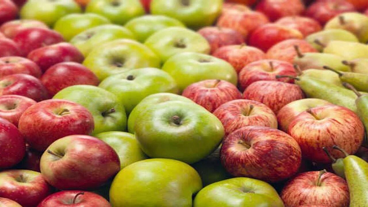 Productores de peras y manzanas reclaman un "dolar fruta" 1 YRW6IWOB4BHE7EYDKSP4LU44UE.jpg