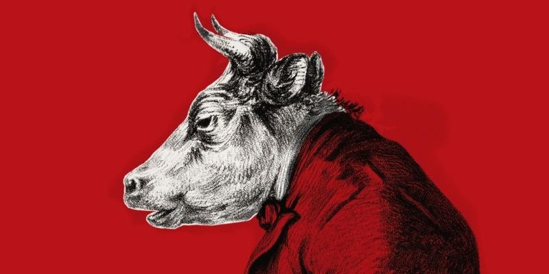 Verano Gurú: Teatro en Mar del Plata 1 ZOktLuUjDxZkqmEoc8t0bxVuTIBTBwlABxPA.jpg