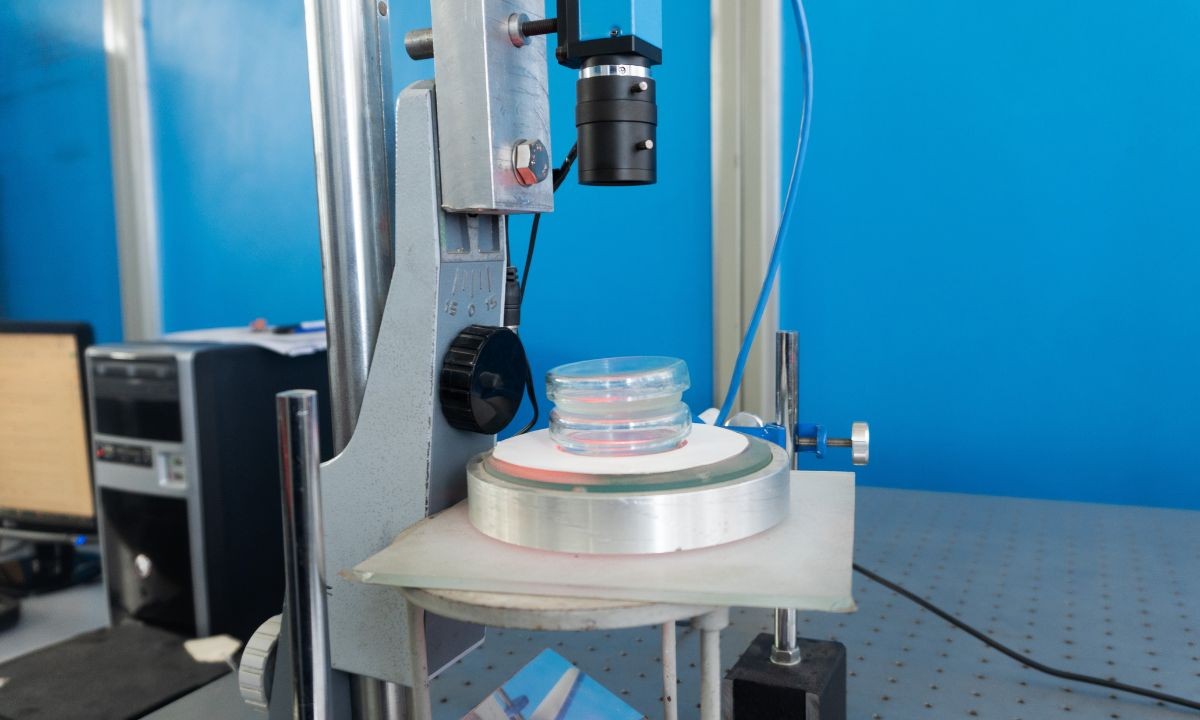 Bioingeniería en Mar del Plata: ingeniería combinada con inteligencia artificial para investigación médica 3 aaaaaaaaaaaaaaaah.jpg
