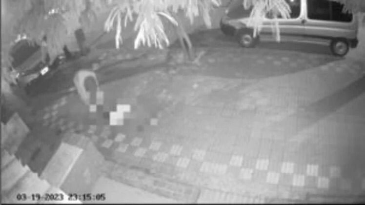 El padre del adolescente acusado de asesinar gatos y perros en Parque Luro rompió el silencio 1 adolescente_matagatos.jpg