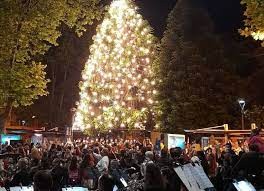El árbol de navidad de Mar del plata se encenderá este jueves en la Plaza San Martín 2 arbol_de_navidad.jpg