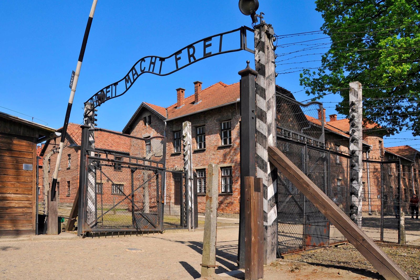 auschwitz.jpg