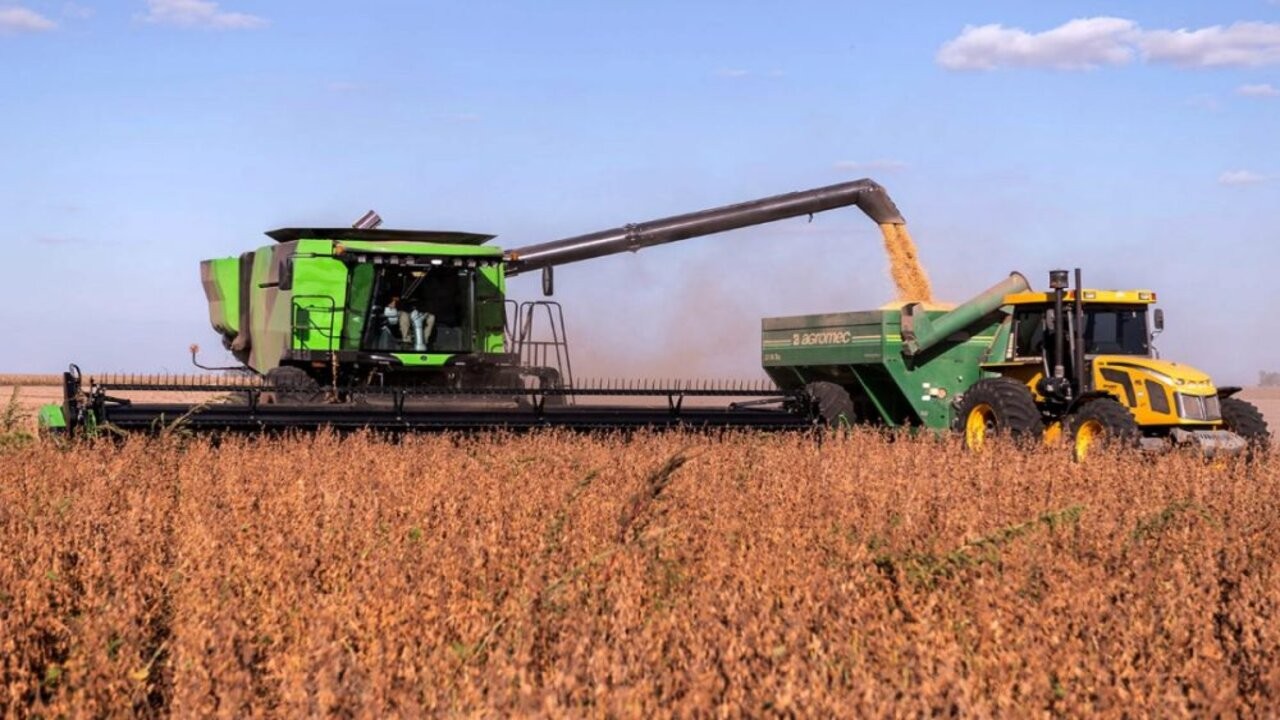 Los productores apuran la siembra de soja 1 campo-1000x600_1.jpg