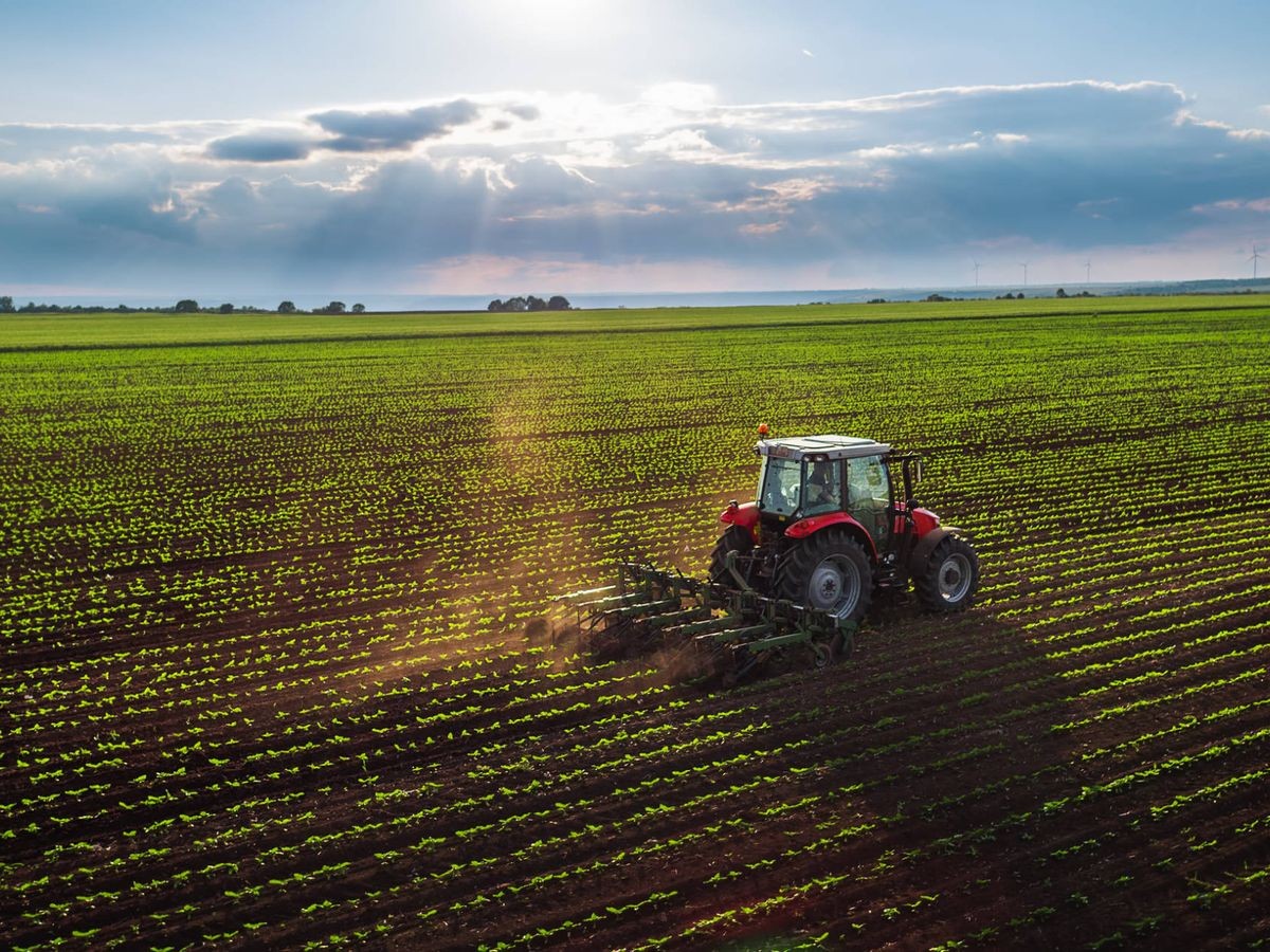 Abre la convocatoria para Proyectos de Fortalecimiento de la Agricultura Familiar en la provincia de Buenos Aires 1 campo.jpg