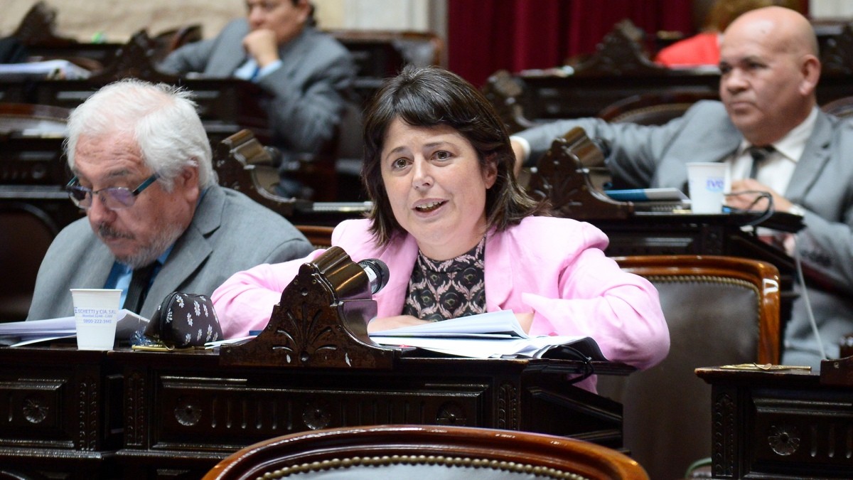 Juicio político a la Corte Suprema: la Comisión oficialista iniciará este jueves con las tareas para hacerlo posible 1 carolina-gaillard-frente-de-todos.jpg