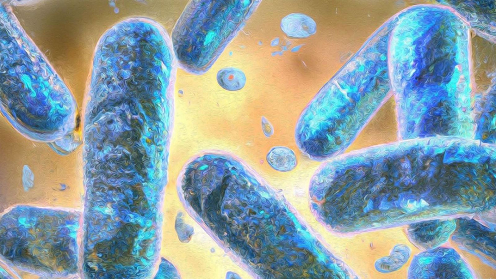¿Qué son las “células ciborg” y como podrían cambiar la ciencia? 1 celular_ciborg_1_copy_copy.jpg